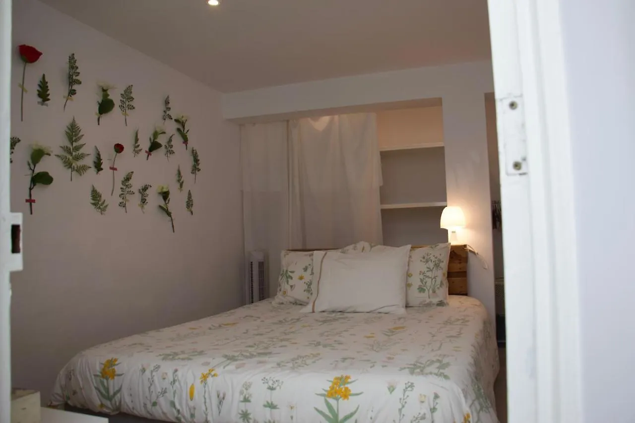 Ferienwohnung Mango Tree House Funchal  Funchal (Madeira)